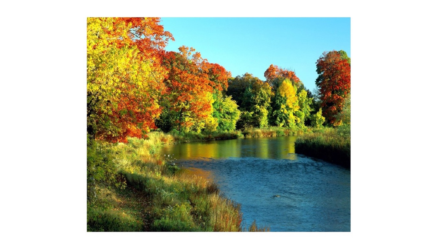 اللهم صل علی محمد و آل محمد و عجل فرجهم 